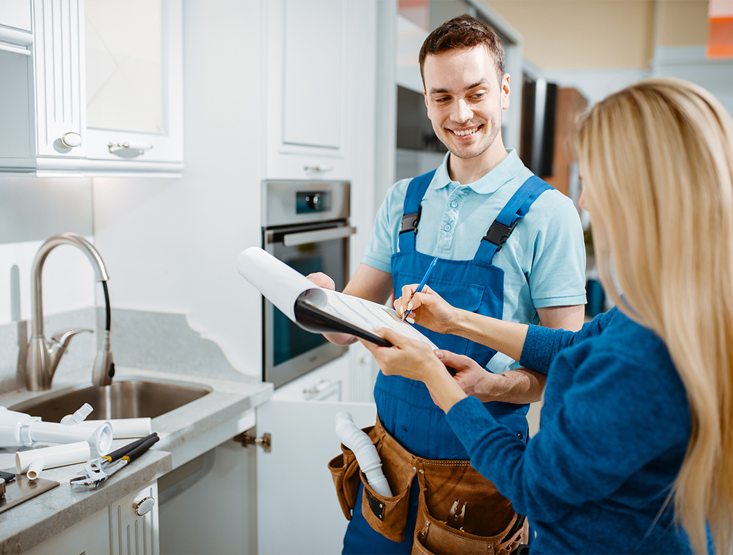 Basic Annual Systems Check (BASC) Program